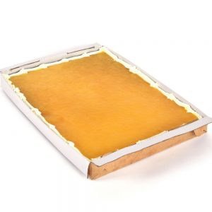 Gluten Free Mango Cheese Cake Tray